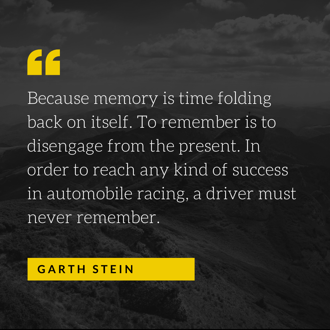 garth stein quote for automobile racing drivers